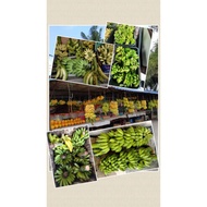 5kg Banana / Pisang Abu Awak Tanduk Nangka Berangan Lemak Manis