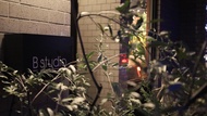 Bstudio