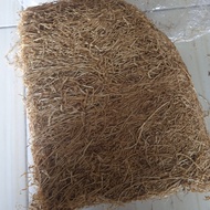 BEST Harum manis khas lombok timur 1kg