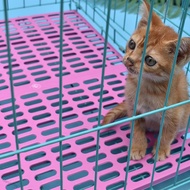 MarvelToy Non Slip Cushion Platform for Pet Dog Cat Cage