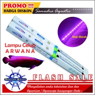 Lampu ARWANA Celup Aquarium Lampu Arwana Lampu Celup Merah HEMAT ENERGY Aquascape (GRATIS Bublewrap