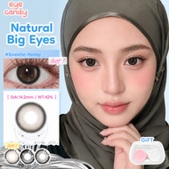 【Brown Series:0.00~-6.00】Eyecandy contact lens eye Softlens air lens Natural Look Korean Style