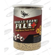 ☎ ✴ ♞,♘,♙NEW PACKAGING Salto Wheat Germ Plus 700g for Conditioning for Gamefowl Rooster