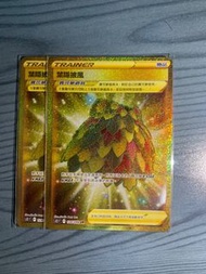 PTCG-  UR / HR