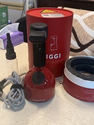 Laurastar IGGI 手提消毒掛熨機