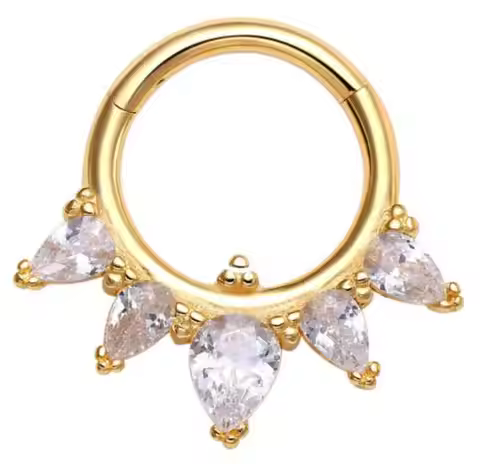 14K Solid Gold Luxury Daith Hinged Segment Ring 5A Clear Zircon Hoop Ring Piercing Jewelry KA49G-160