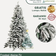 Christmas Tree Green Alpine Fir Christmas Tree 5 6 7 8 9 10ft
