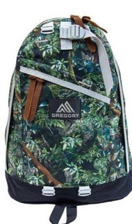 Gregory Backpack背包