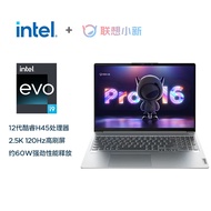 联想（Lenovo） 小新Pro16 2022款12代酷睿笔记本电脑 办公游戏轻薄本超联想整机 i9-12900H 16G 512G | 官方标配