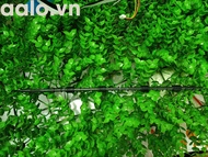 TRỤC CUỐN GIẤY MÁY IN CANONN MF241D MF244DW