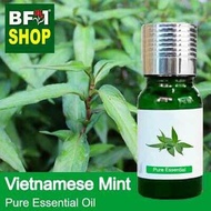 Pure Essential Oil (EO) - Mint - Vietnamese Mint ( Persicaria Odorata ) Essential Oil - 10ml