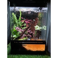 Bos Aquarium Full Set Imaginary Rain Drop Paludarium ( All in with Tank , Light & Scape 30 X 30 X 45