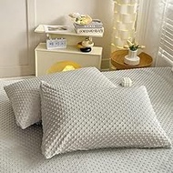 Zhiyuan 2 Piece Solid Minky Dot Pillowcases Warm Velvet Fleece Pillow Shams, Standard, Light Grey