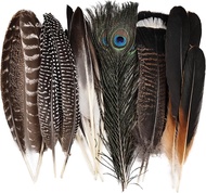 Natural Feathers Bulk - 55PCS - 6 Styles Assorted Natural Feathers Peacock Feathers Pheasant Feather