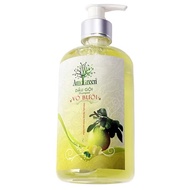Ame Green grapefruit shampoo 540g, prevents hair loss, stimulates hair growth My Ai Cosmetics