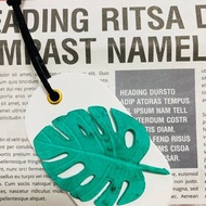 VitaDesign 龜背芋 仙人掌擴香石 開幕誌慶 喬遷之喜 婚禮 交換禮