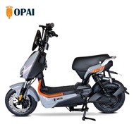 New Design High Performance Fat Tire Vehicle Bicycle Battery Electric Bicycle 800W Electric Motorcyc