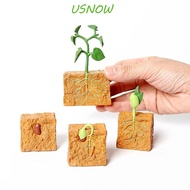USNOW Simulation Life Cycle Educational Toys Cognitive Toy PVC Plastic Action Figures for Children Plant Growth Cycle Model