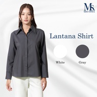 Miss office shirt With Back Label (Lantana) (MT-351)