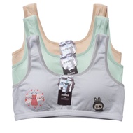 6 PCS Fema AC588 Teenage Miniset Bra Without Foam FREE SIZE BB 25 - 55 KG AGES 7 - 14 YEARS GIRLS' B