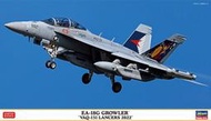 𓅓MOCHO𓅓 Hasegawa 1/72 EA-18G Growler VAQ-131 Lancers 2022
