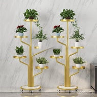 Flower Frame Art Simple Succulent Indoor Balcony Green Plant Living Room Iron Frame Radish Multi-Lay