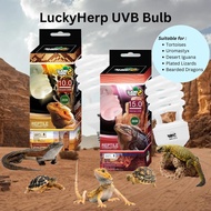 LuckyHerp Reptile UVB Light Bulb, Intense Fluorescent Terrarium Lamp, Compact Bulb