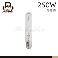 [Mr. Lamp] Dayou Lighting 250W Composite Metal Bulb Natural Light 220V E40 Lamp Holder