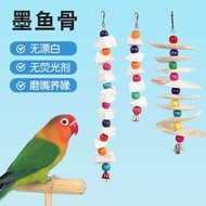 Cuttlefish Bone Grinding Desalted Boxed Parrot Bird Food Hamster Food Pet Molar Snacks Chew Supplies