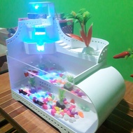 aquarium mini lengkap