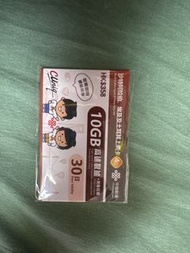 伊利沙伯，埃及，土耳其上網卡