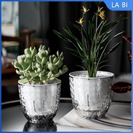 [Wishshopeehhh] Self Watering Planter Plant Pot Clear Plant Container Jar Flower Pot