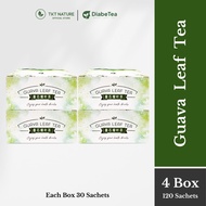 TKT Nature DiabeTea Guava Leaf Tea Manage 3 Highs 得康堂 番石榴叶茶 降三高 (4 Box)