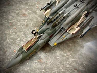 放HM Tomcat F-14A 合金戰機模型