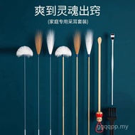 Ear Picking Tool Professional Set Digging Ear Picking Full Set Ear Picking Tool GLHQ