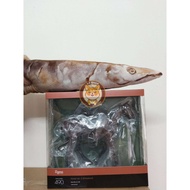 Max Factory Figma 490 Horse ver. 2 (Chestnut)