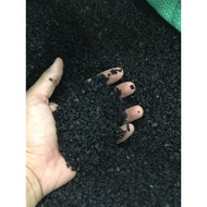 Rubber beads stuffed with boxing punching bags and boxing bags