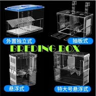 Breeding box Guppy  fish tank betta tank isolation box extra large BREEDING BOX