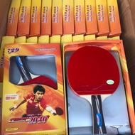 Table tennis bat/bat PING PONG friendship 729 2040 + free bag