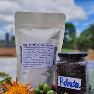 Bold pure Moc Robusta coffee - 100% Robusta Espresso coffee