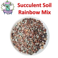 Rainbow Succulent Mix Media for Cacti Cactus and Succulents | EZGrow.sg