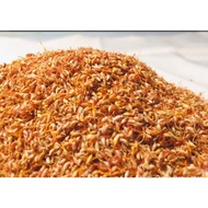 ‼️Exp.10/2026‼️1Pack 40g Ficus Pumila Aiyu Jelly Seed/一包40g爱玉薜荔籽/薜荔果冻