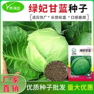 Kale Vegetable Seeds Emerald Knot Ball Kale Cabbage Cabbage Seeds Cabbage Seeds Big Head Vegetables 