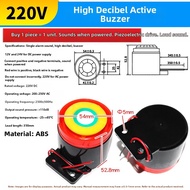 Risym | Loud Alarm Buzzer
