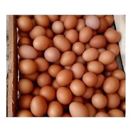 CHICKEN EGGS 1 kg