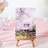 Sakura PostCards (30 SHEETS PER PACK) Goodie Bag Gifts Christmas Teachers' Day Children's Day