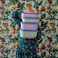 【下殺75折】荷蘭 Mepal 方形密封保鮮盒 / 深型 / 共8色