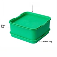 Home Use Bean Sprout Maker Green Bean Yellow Bean Sprout Pot Harmless Bean Sprouting Canister Kitche