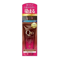 DHC Q10高級彩色處理SS淺棕色150g