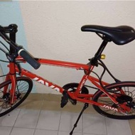 JAVA CL-LIMITED 451，已售